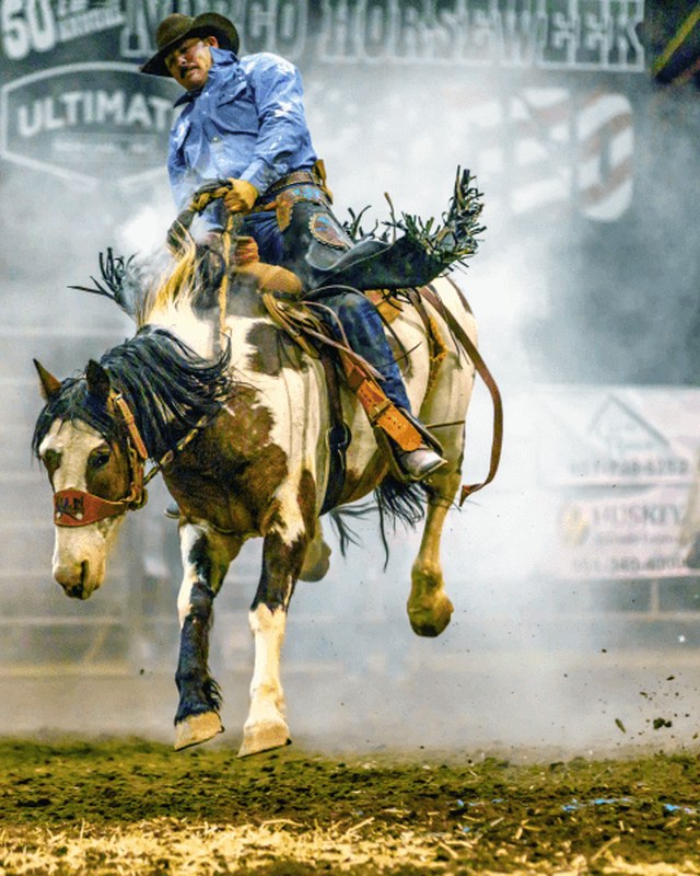 Image for Norco Horseweek