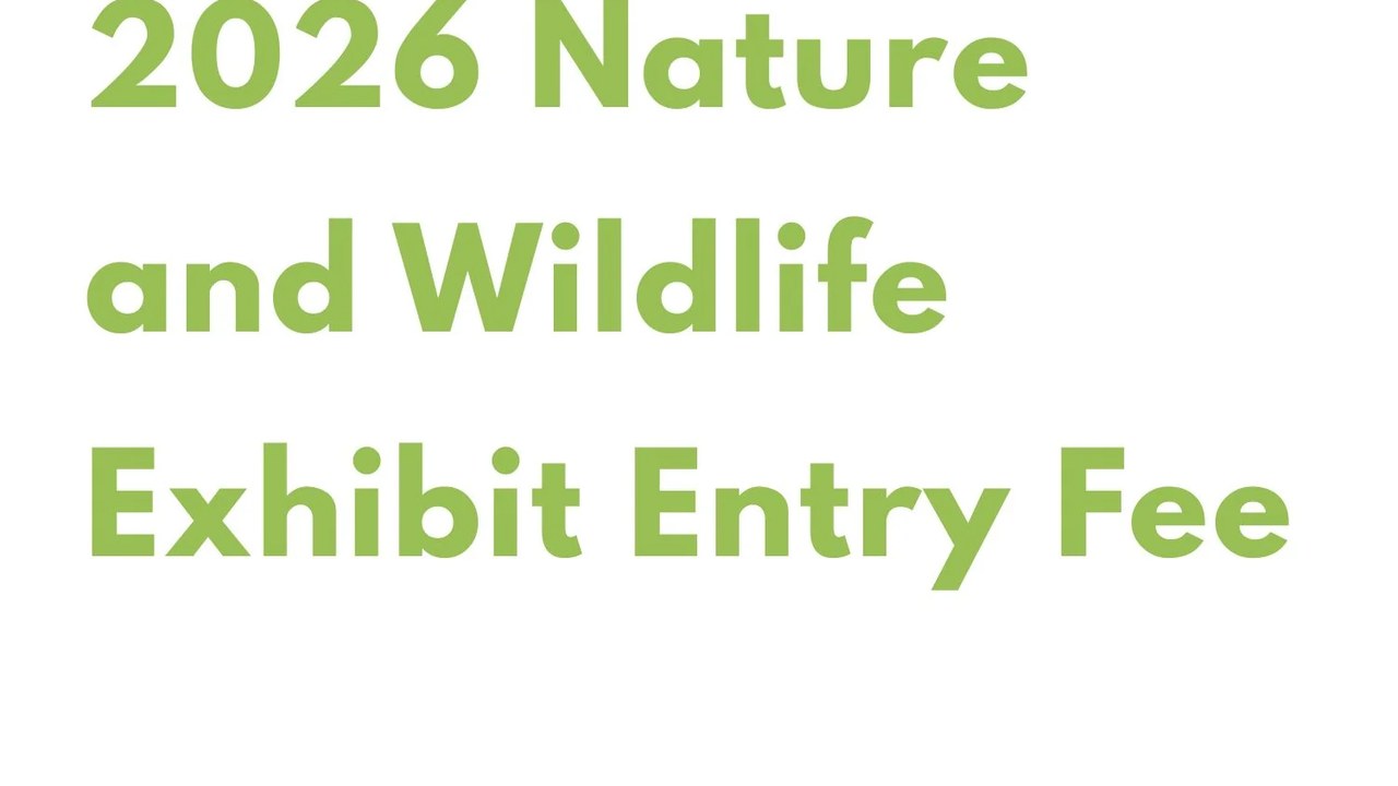 Image for 2026 Nature and Wildlife Exhibit
