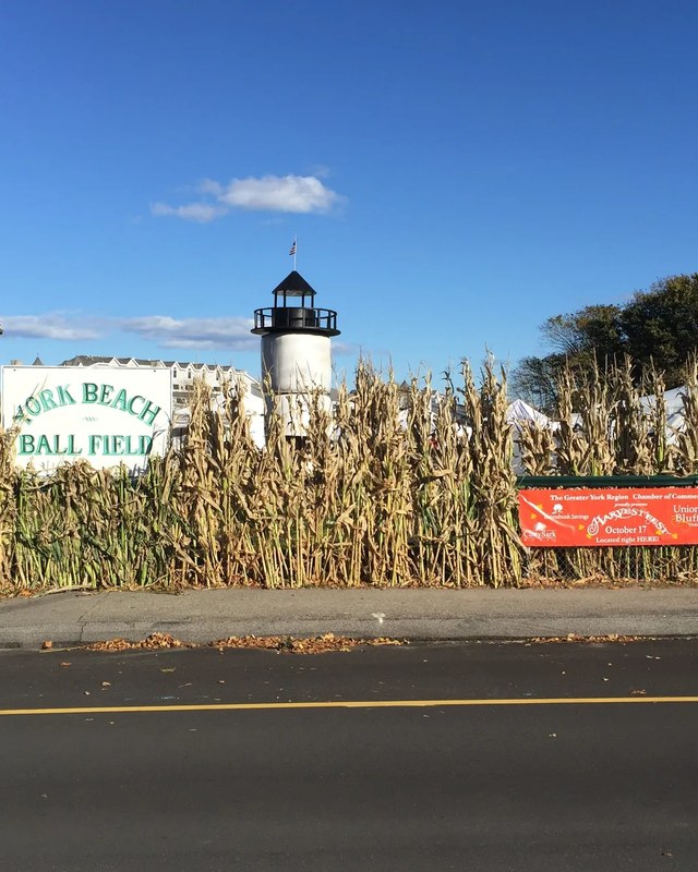 Image for 41st Annual York Harvestfest