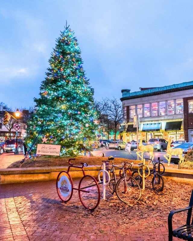 Image for Annapolis Town Center Holiday Market