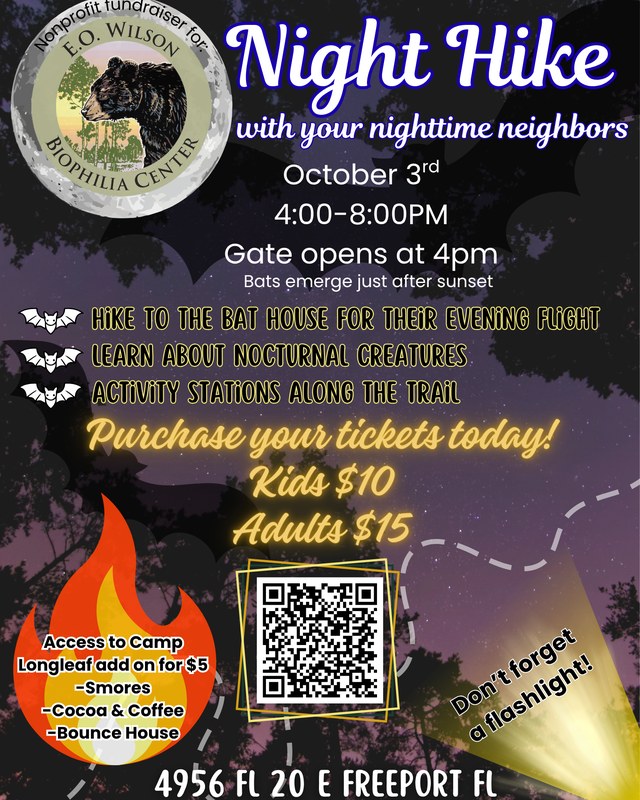Image for Night Hike