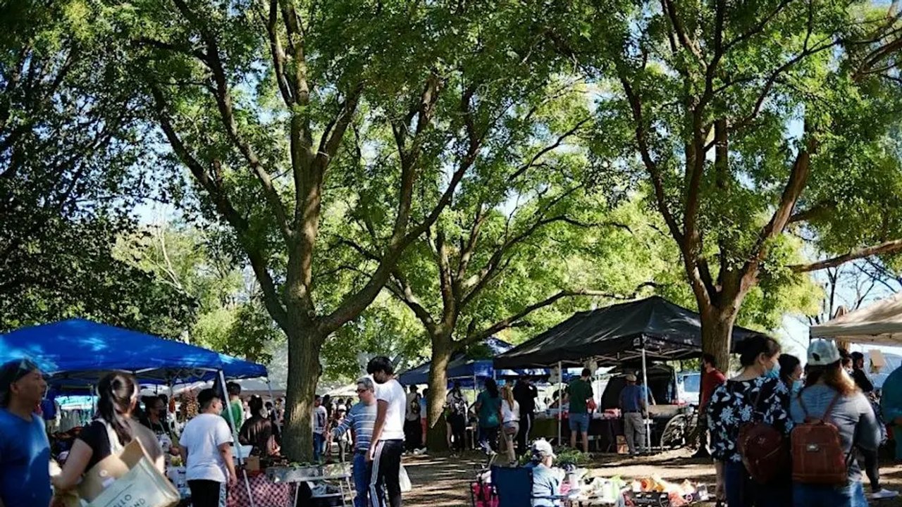 Shoppers and vendor tents under shade trees at an outdoor market-style event.