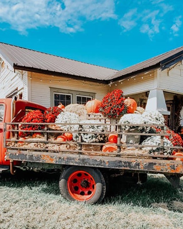 Image for The Junk Ranch - Fall Edition