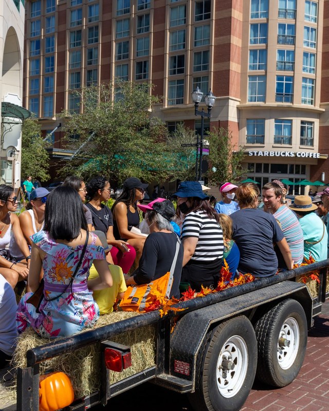 Image for Fall Fest