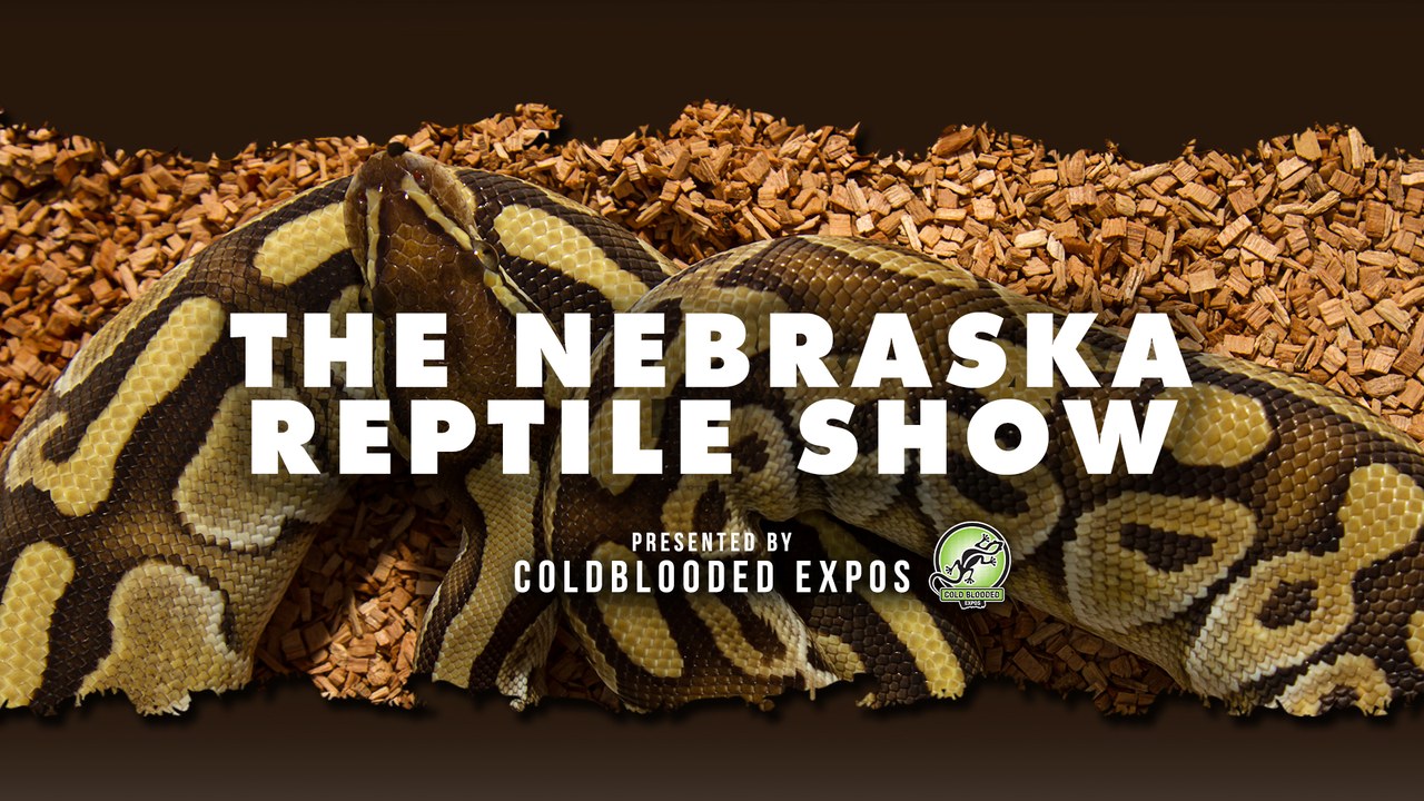 Image for Nebraska Reptile Show