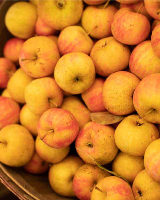 Image for East Fishkill Farmers Market