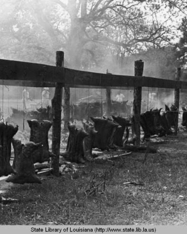 Image for Cochon de Lait Festival