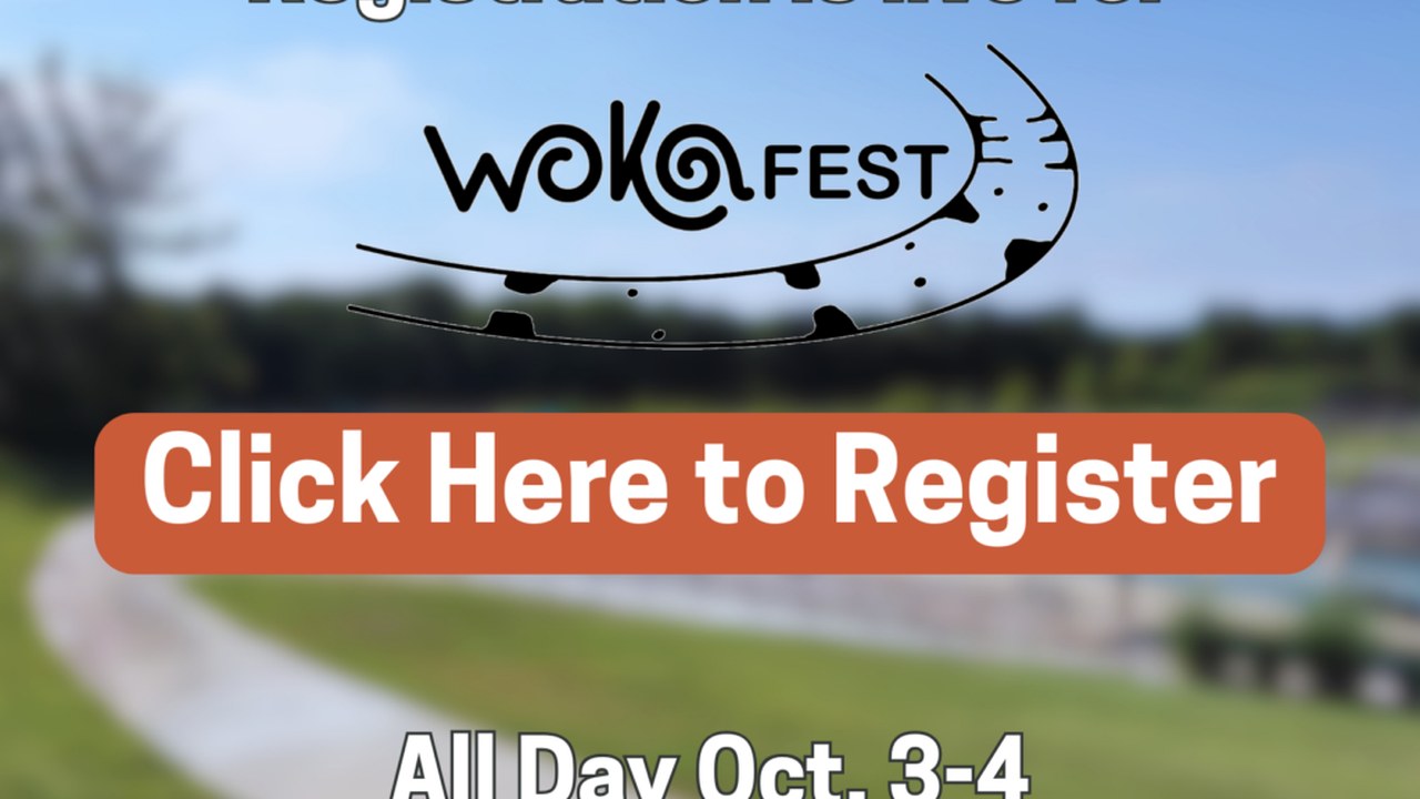 Image for WOKAfest 2026