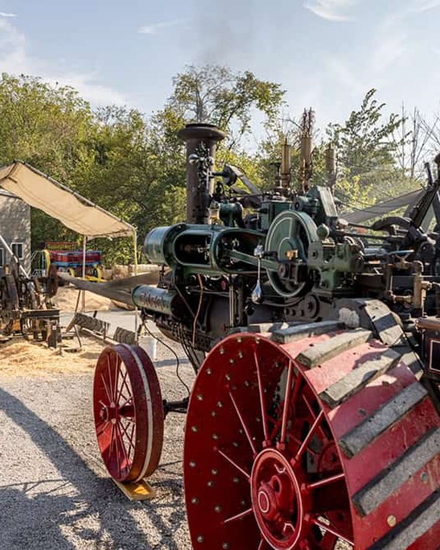 Image for Log Cabin Days