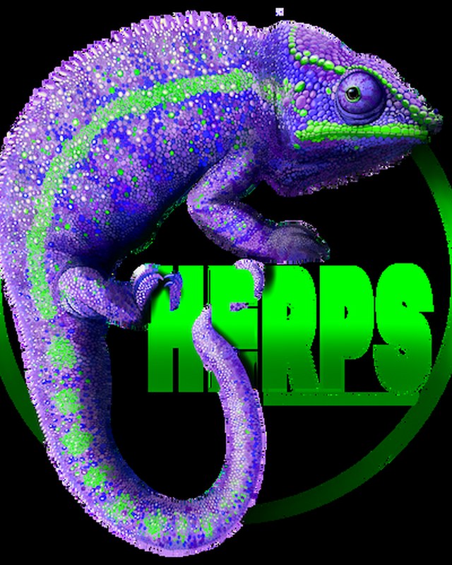 Image for HERPS Exotic Reptile & Pet Show - Slidell