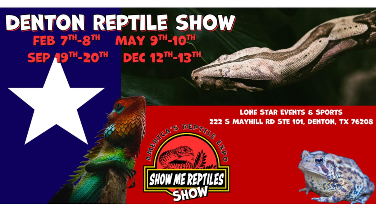 Image for Denton Texas Reptile Show