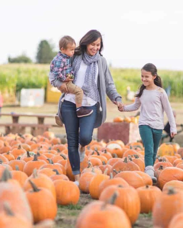 Image for St. Mark's Catholic Church Fall Market & Festival