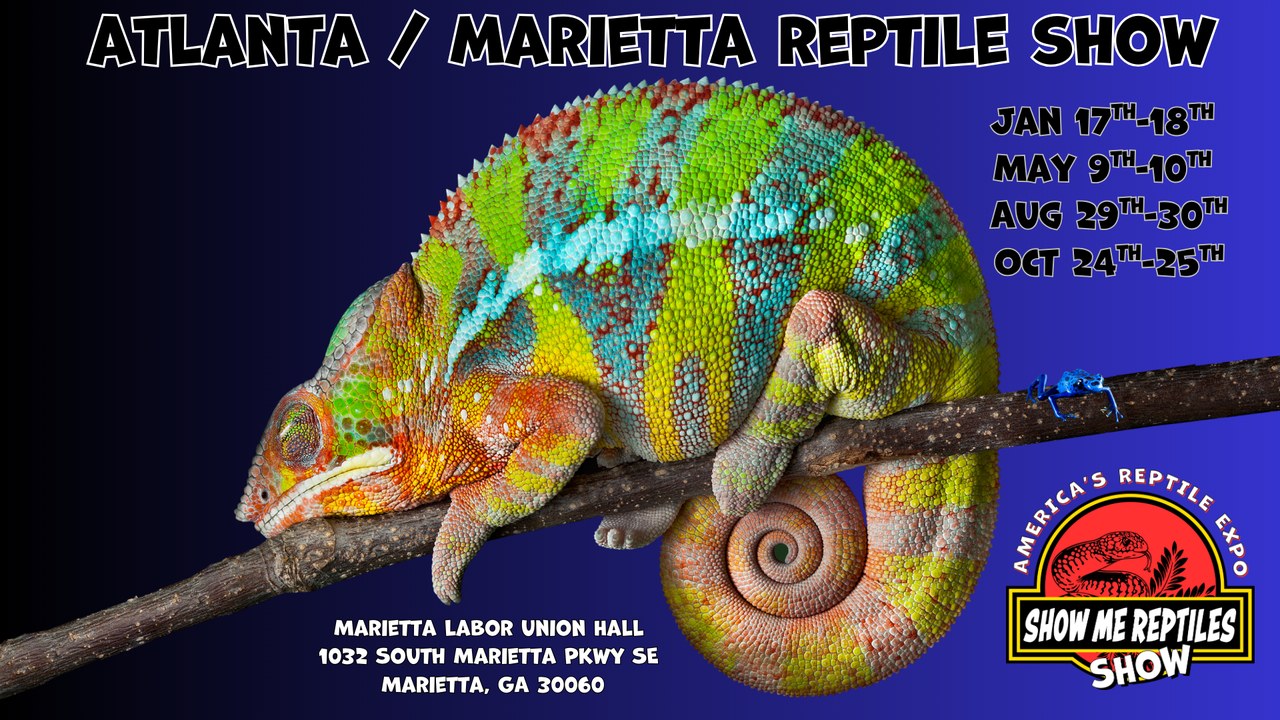 Image for Atlanta Georgia Reptile Show (Marietta Show Me Reptile Show & Pet Expo)