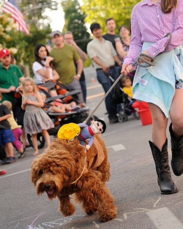 Image for NarBark Dog Parade