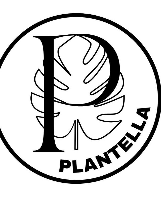 Image for PLANTELLA: A Virginia Beach Expo