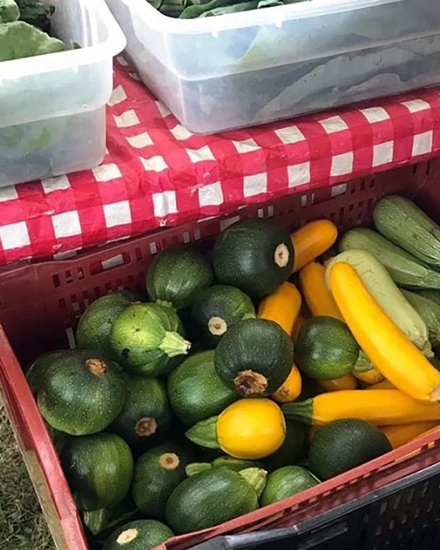Image for Gilmanton Community Farmers' Market
