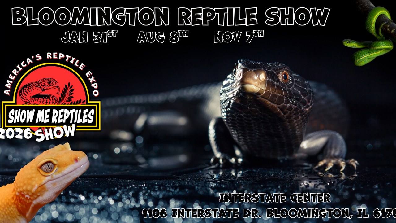 Image for Bloomington Illinois Reptile Show