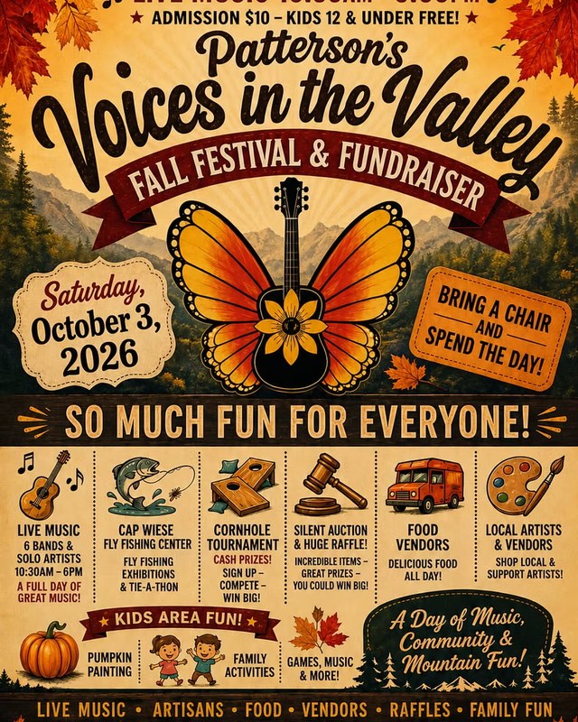 Image for Patterson's Voices in the Valley