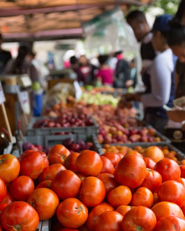 Image for Bronx Borough Hall Greenmarket