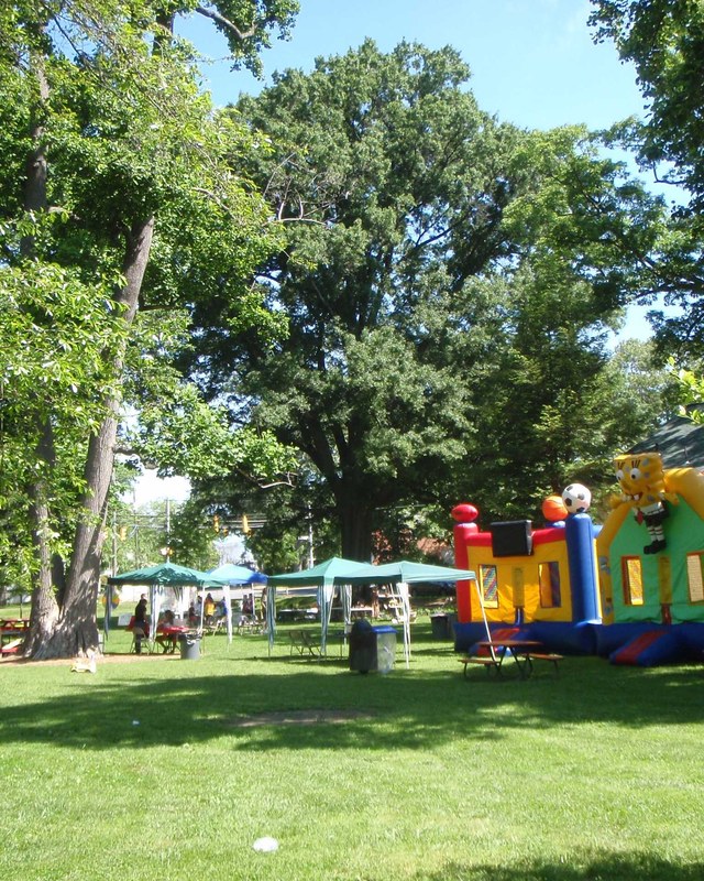 Image for Lyon Park Spring Fair