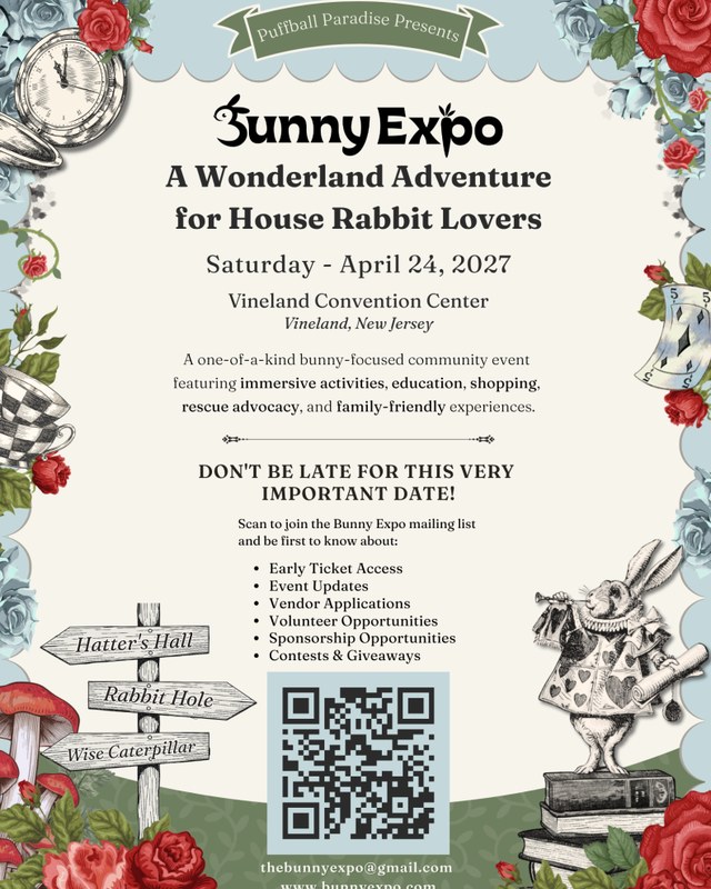 Image for Bunny Expo: A Wonderland Adventure for House Rabbit Lovers
