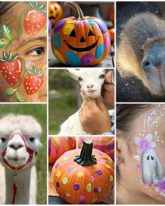 Image for The Great River Oaks Pumpkin Patch