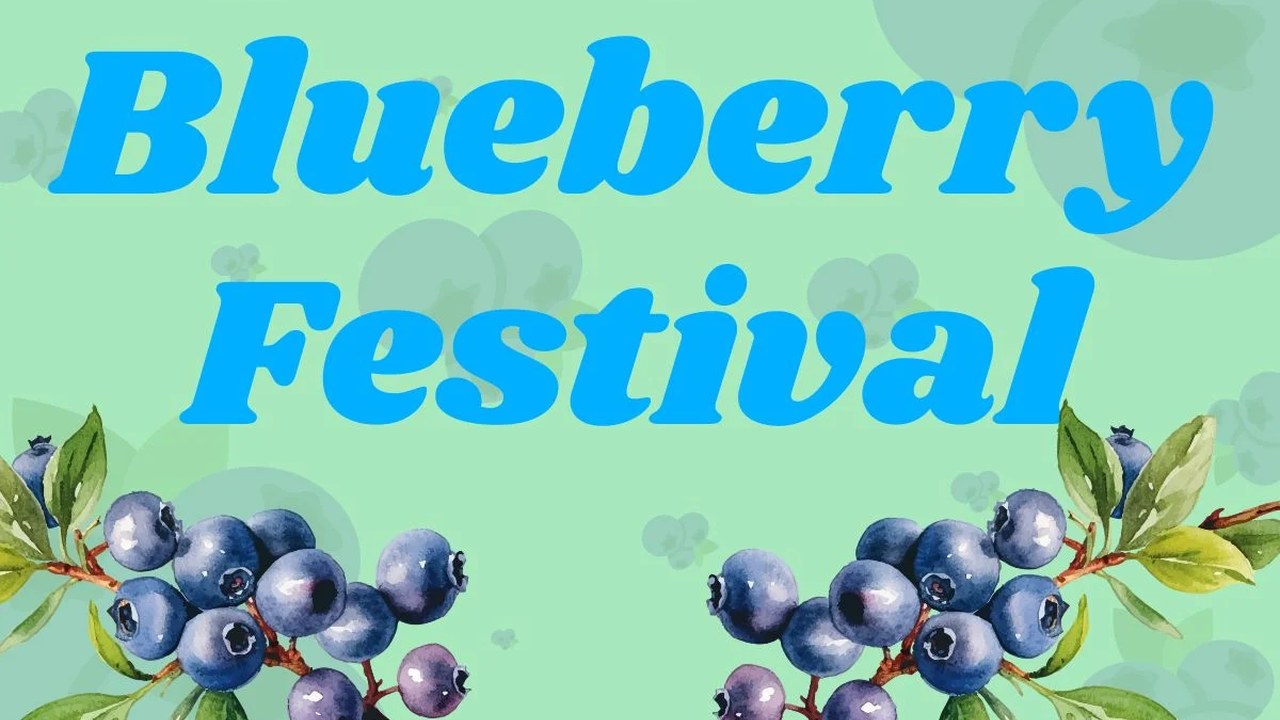 Image for Ocala Blueberry Fest