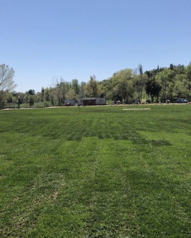 Image for Spooky Flea Market in the Park