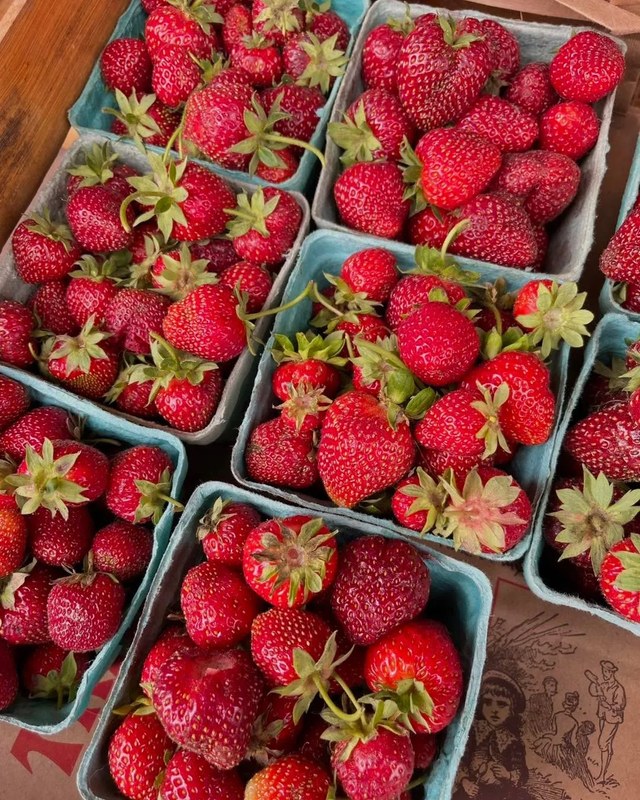 Image for Burrillville Farmers' Market – Thursday Market (Fountain Square Park, Pascoag)