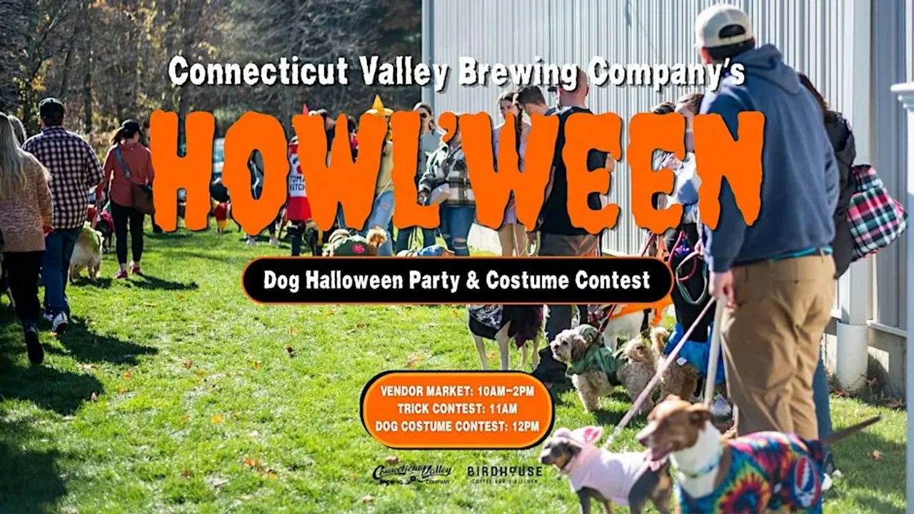 Dogs and people walking on grass at the Howl'ween dog party, with event text overlaid.