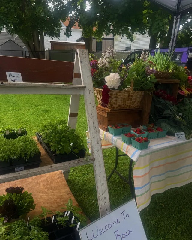 Image for Backyard Growcery