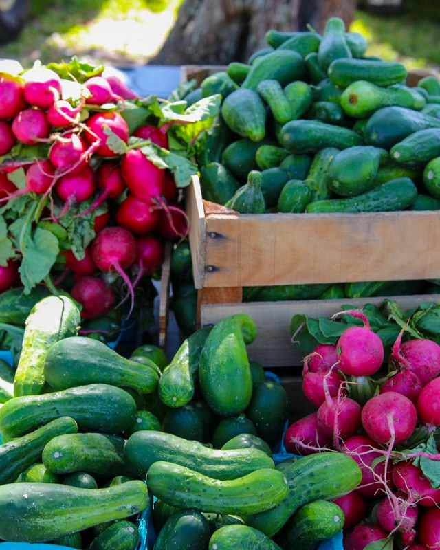 Image for Palm Springs Village Marketplace