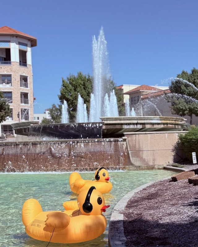 Image for Rockwall Rubber Duck Regatta and Jeep Festival