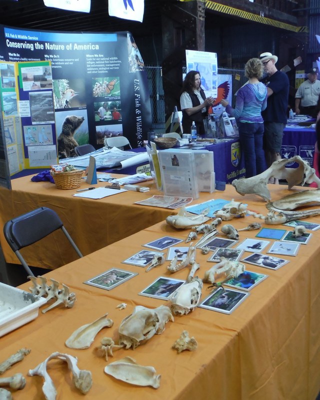 Image for San Francisco Bay Flyway Festival