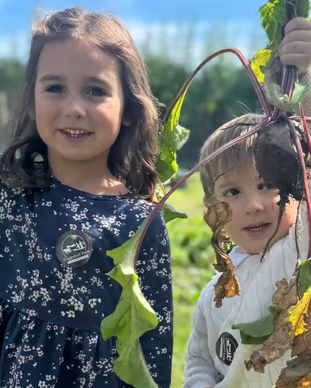 Image for Franklin Farm Harvest Festival & Tractor Show 2026