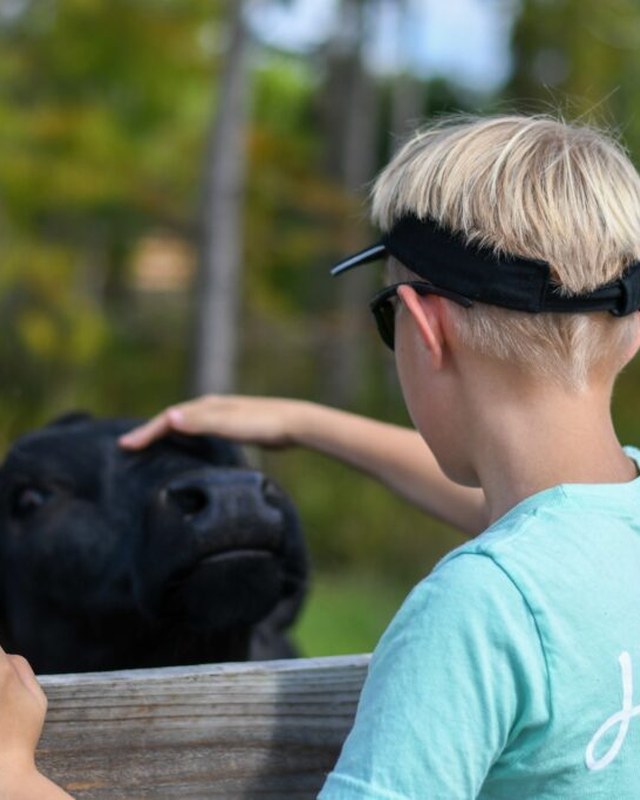 Image for Hobe Sound Farmers Market