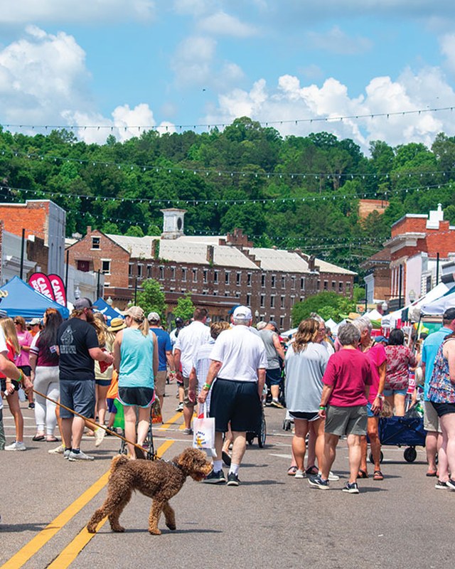 Image for Prattville CityFest