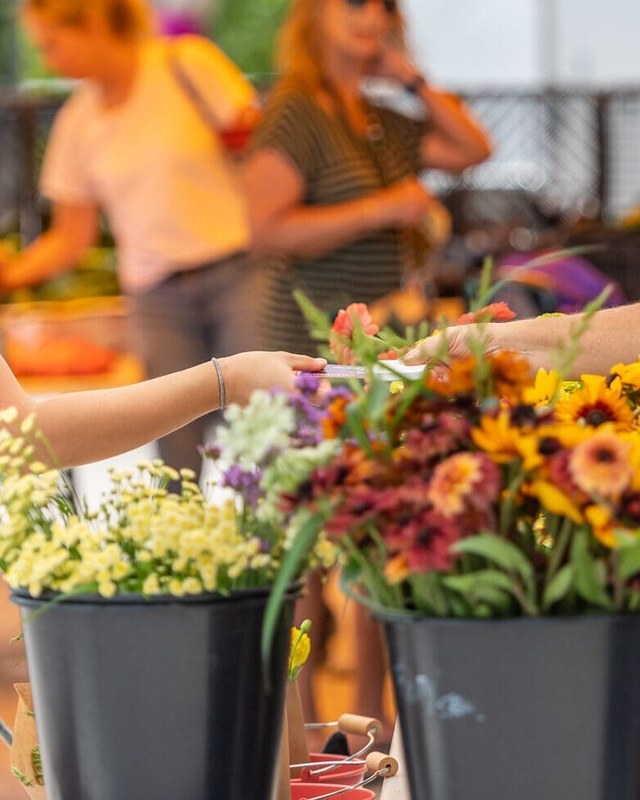 Image for Howard County Farmers' Market — Wednesday Market (Miller Library, Ellicott City)