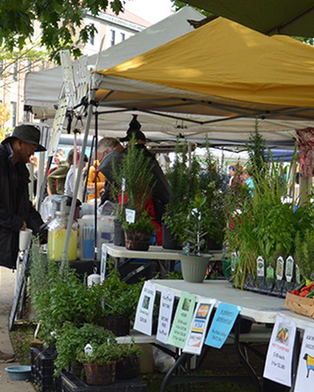 Image for Purdue Farmers Market
