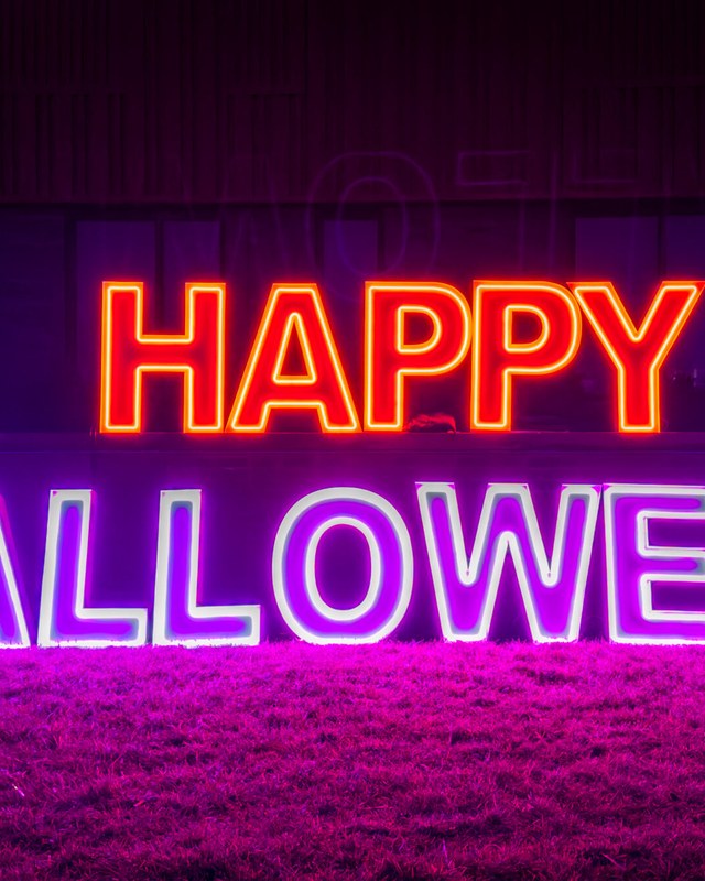 Image for 2026 Florence Y'alloween Fest