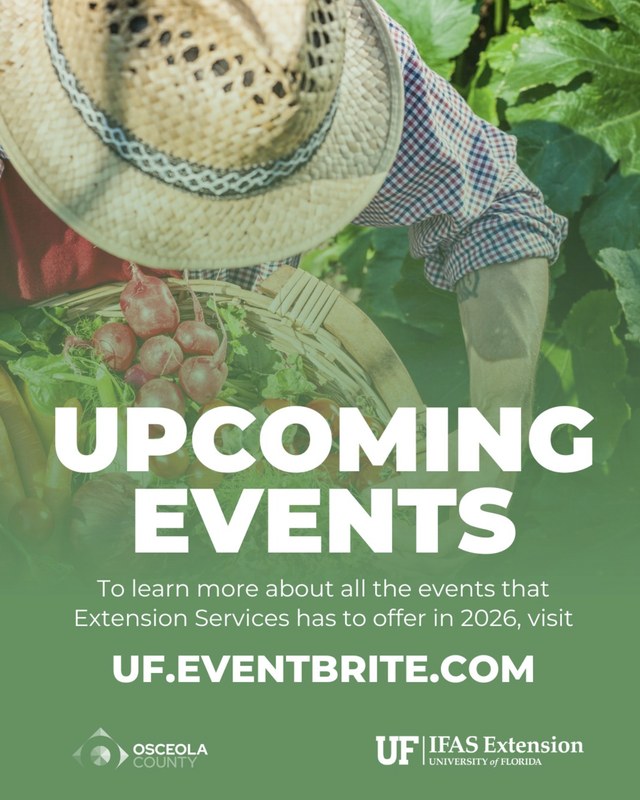 Image for Osceola County Master Gardener Plant Market — October 10, 2026