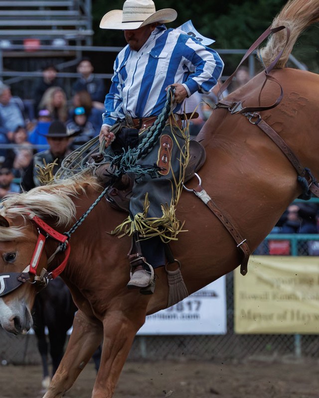 Image for Rowell Ranch Pro Rodeo