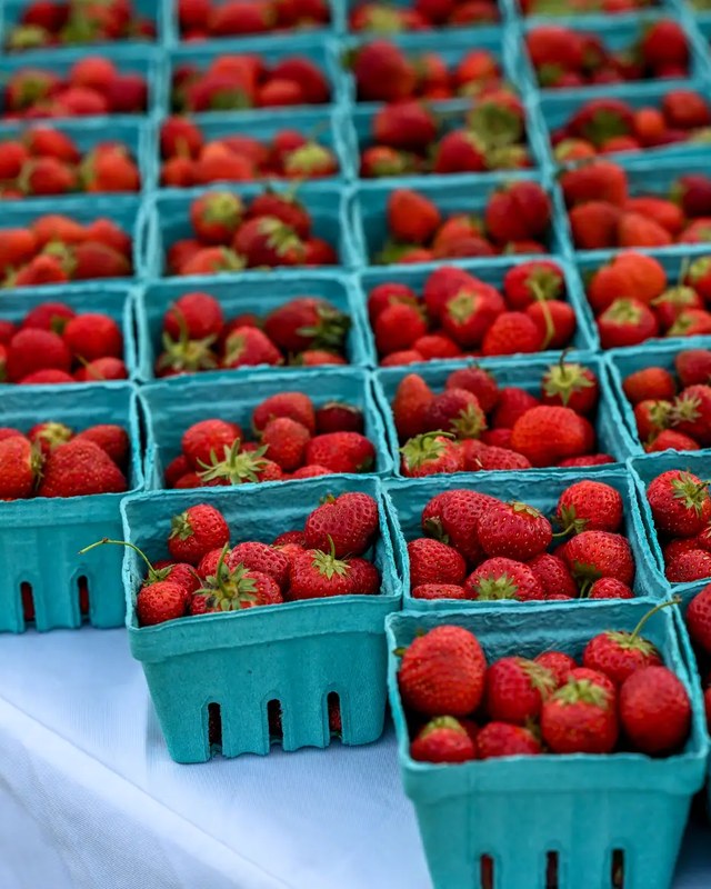 Image for Cuyahoga Valley Farmers Market – Summer Market
