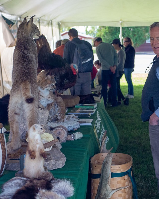 Image for Dead Creek Wildlife Day
