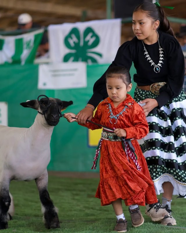 Image for Navajo Nation Fair