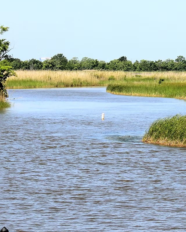 Image for Delta Woods & Waters Expo