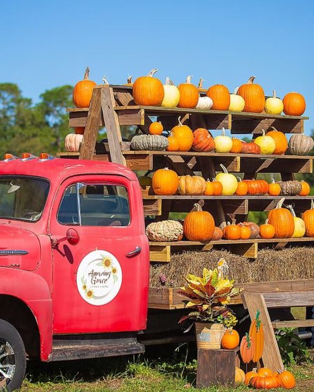 Image for 2026 Middleburg Fall Festival & Car Show