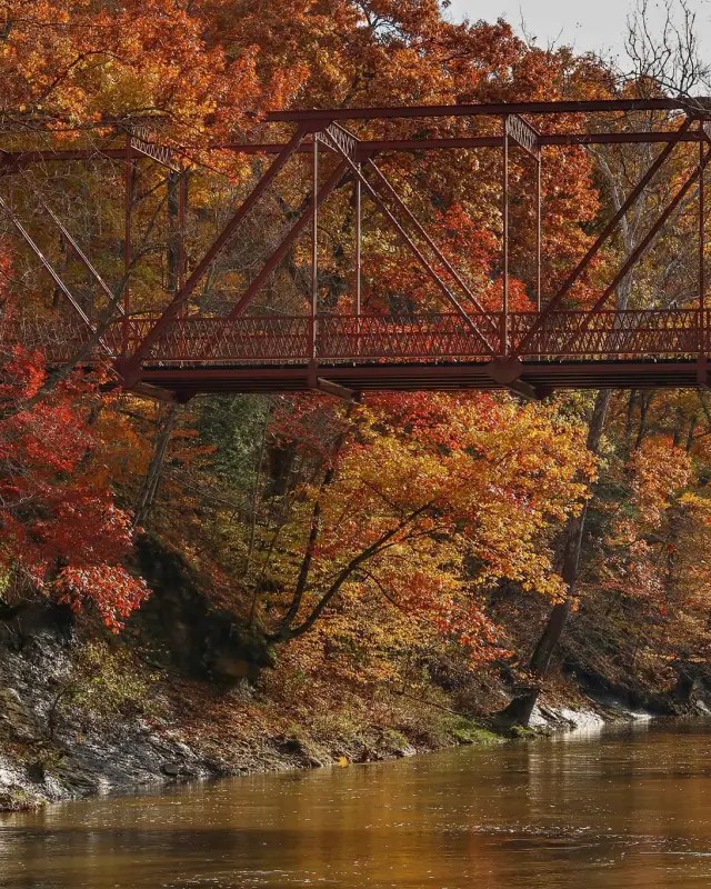 Image for Fall Colors Festival