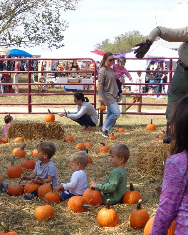 Image for Kinder Farm Park Fall Fest
