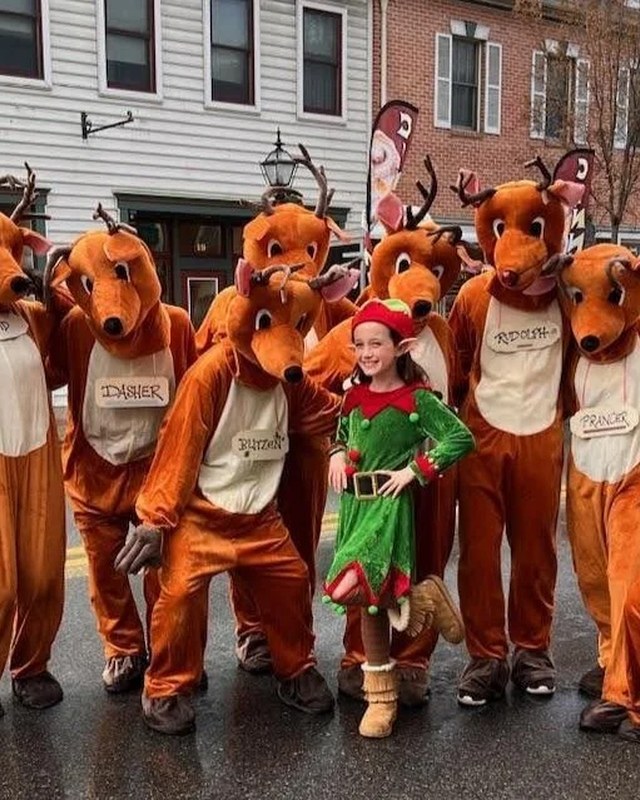Image for A Gettysburg Christmas Festival